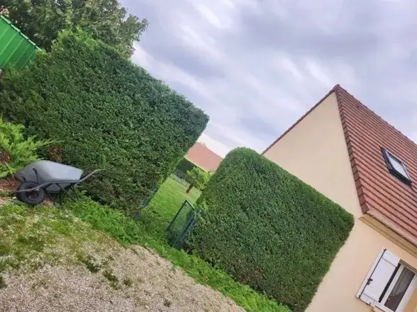 Haie géométrique