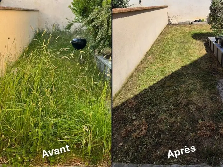 Pelouse avant et après tonte (photo double)